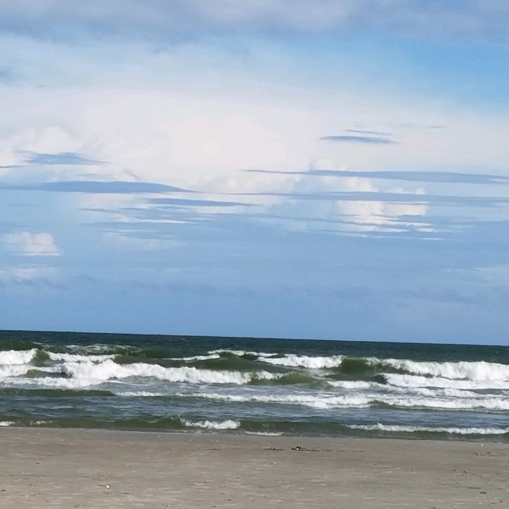 Meet your Posher, Anne